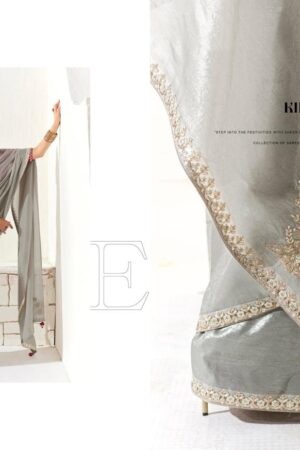 Kimora Runway Organza Tissue With Heavy Work Border and Butta Saree