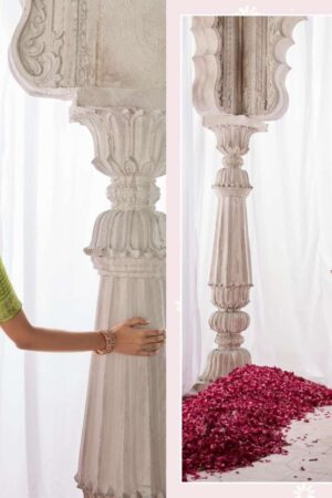 Kimora Anokhi x Asiana Kora Silk wholesale saree